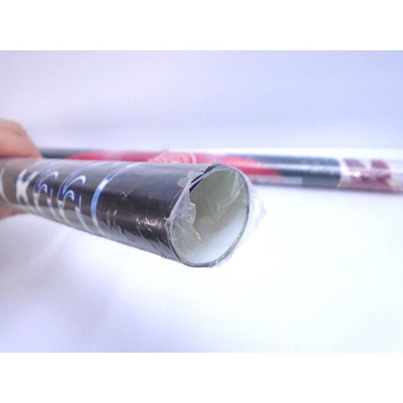 Vintage Detroit Red Wings NHL Original 1997-98 Stanley Cup Champs Posters Lot x2 - Picture 9 of 10